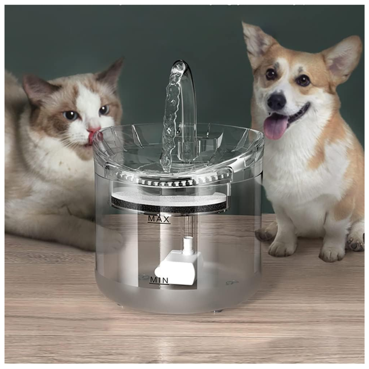 Fuente de Agua Transparente Para Mascotas 1.6 L
